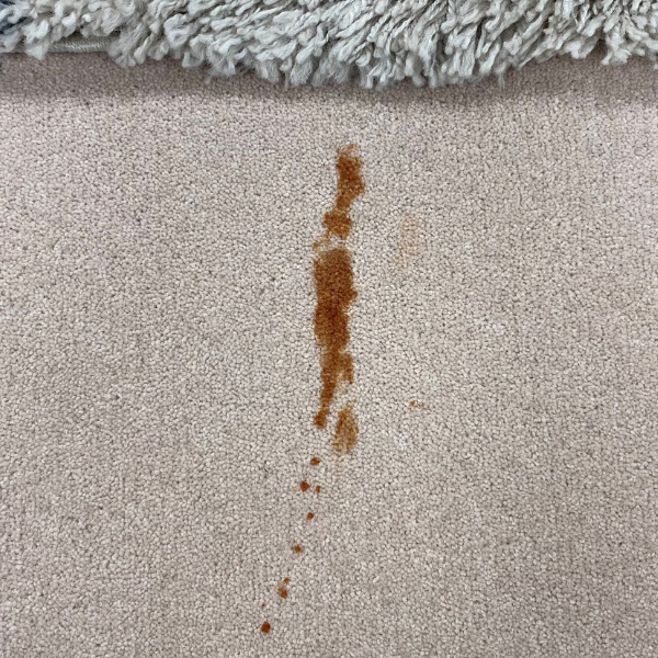 Ketchup carpet stain before removal.