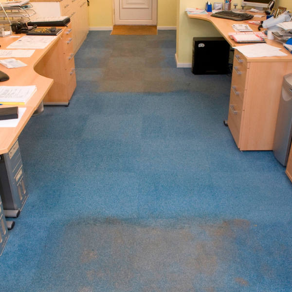 Office carpet cleaning result.
