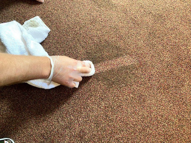 Should You Clean Your Carpets Or Replace Them?