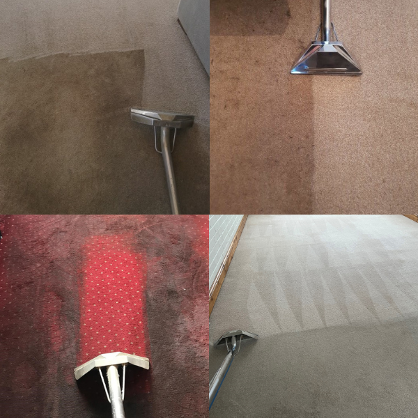 Our carpet cleaning results