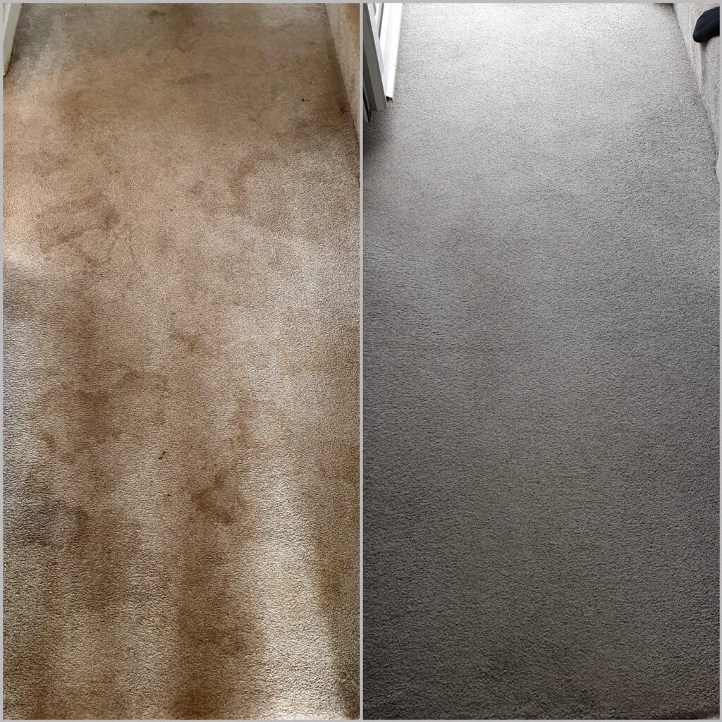Cardiff carpet cleaning before and after result.